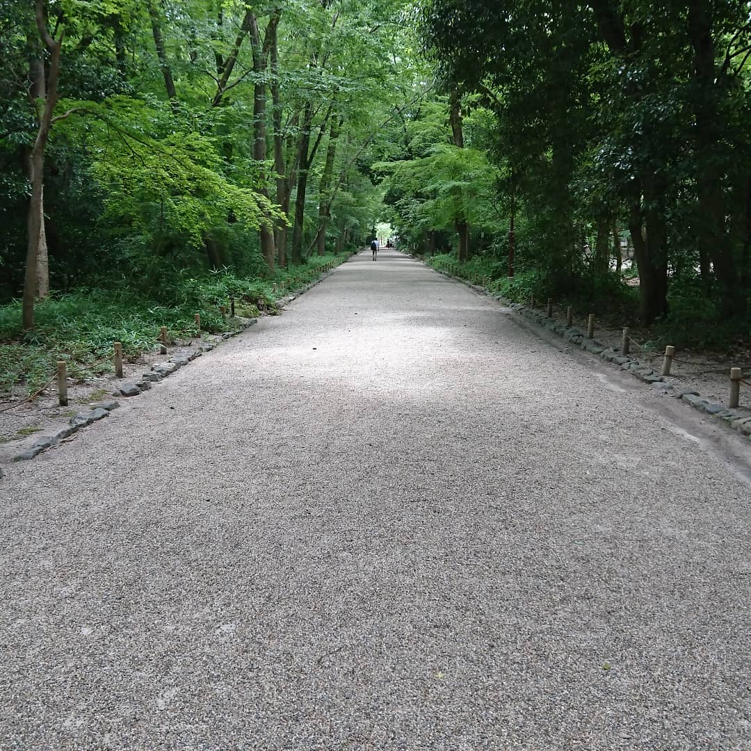 【第７回】１人暮らしってすごいって話