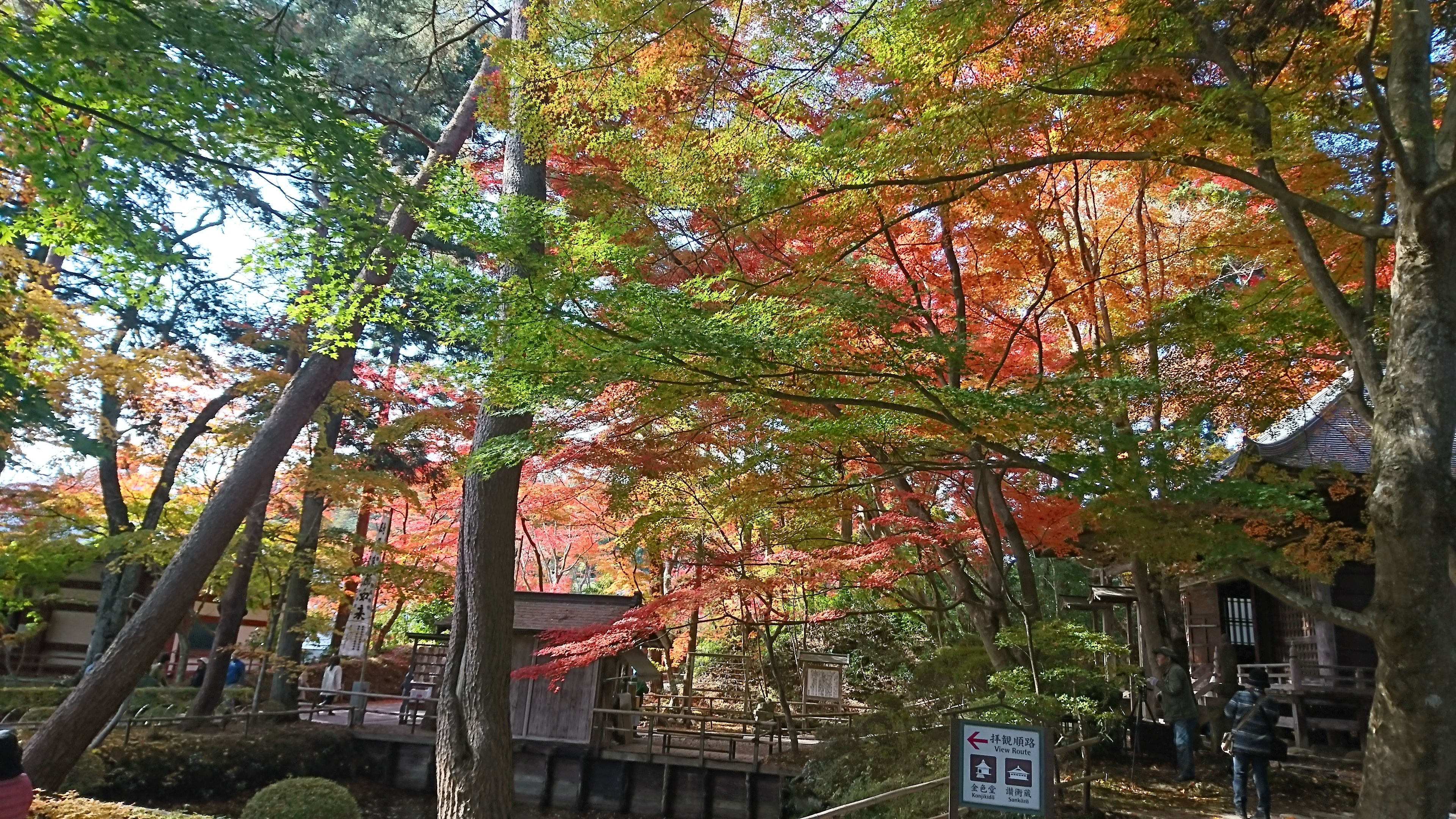 【第12回】好きなことを語りたいのよ