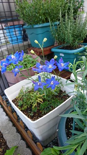 【第１６回】雑談！３人でおしゃべり回