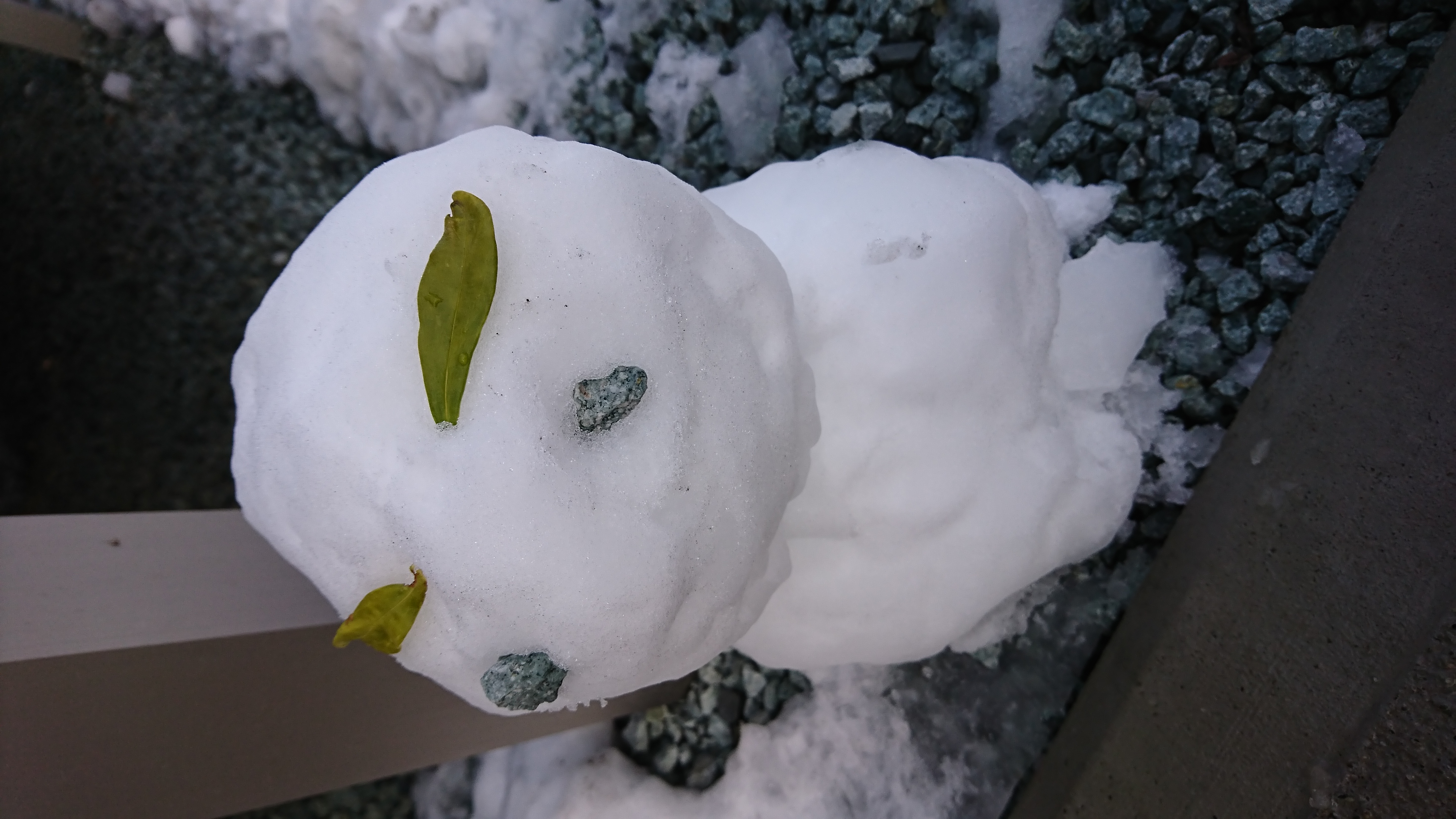 【第20回】好きな季節の話