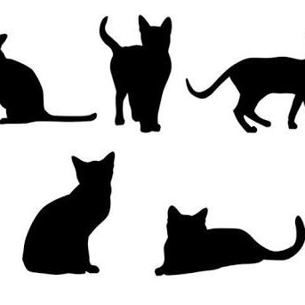 はじめてのラジオ