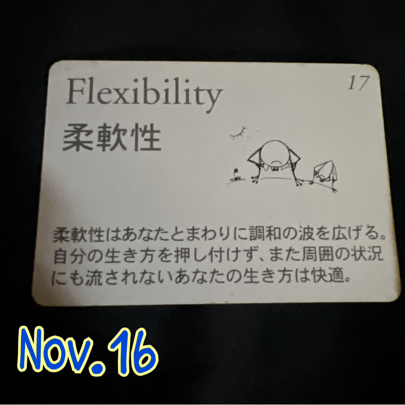 本日のカエルカード　柔軟性 from Radiotalk episode artwork