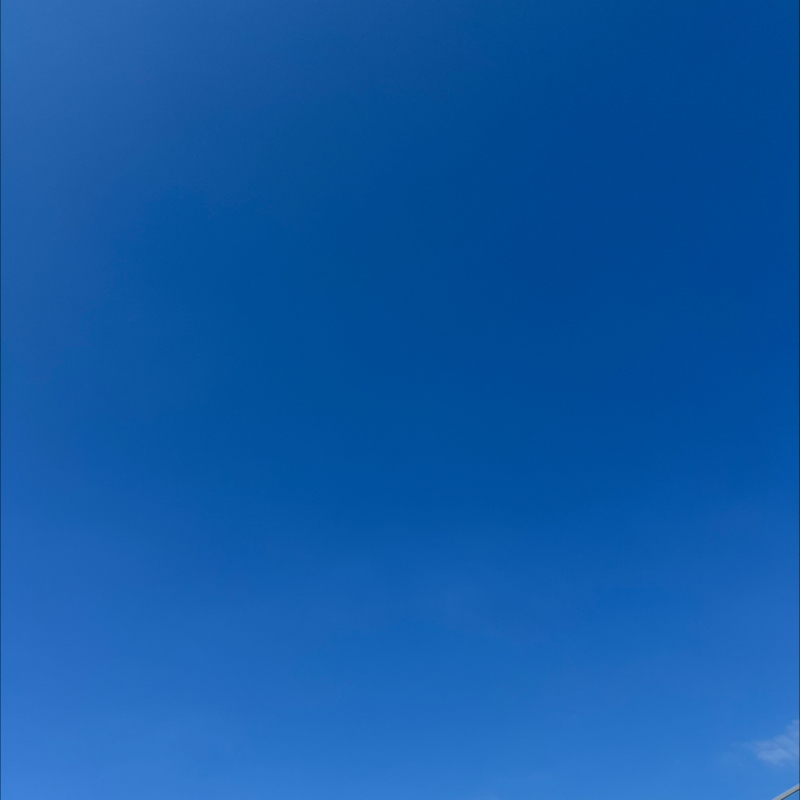 朝のルーティン
