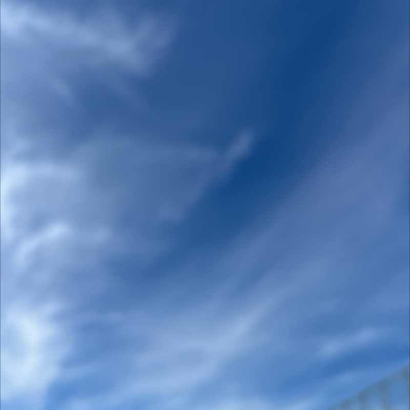 朝のルーティン