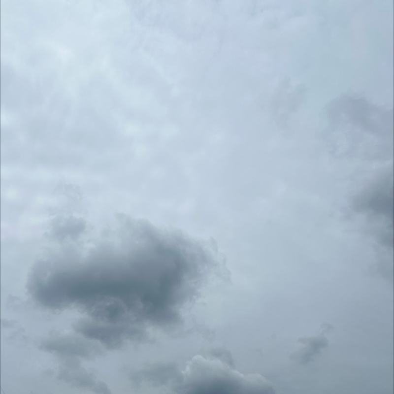 朝のルーティン