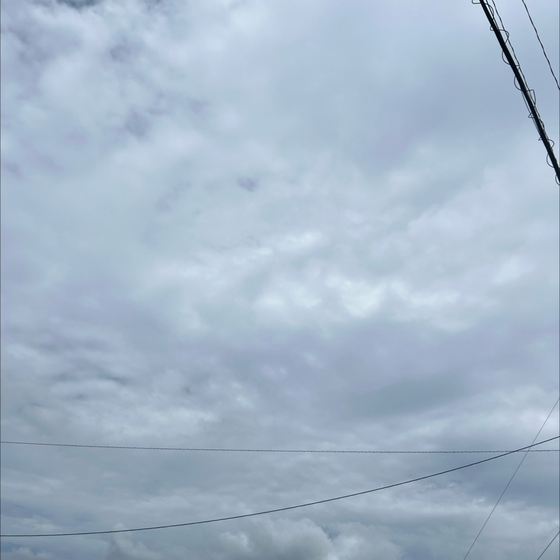朝のルーティン