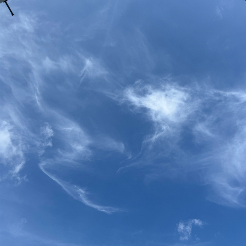 朝のルーティン