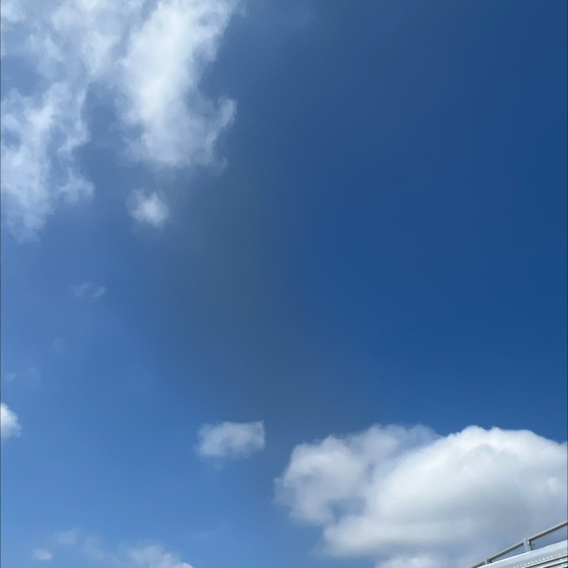 朝ルーティン