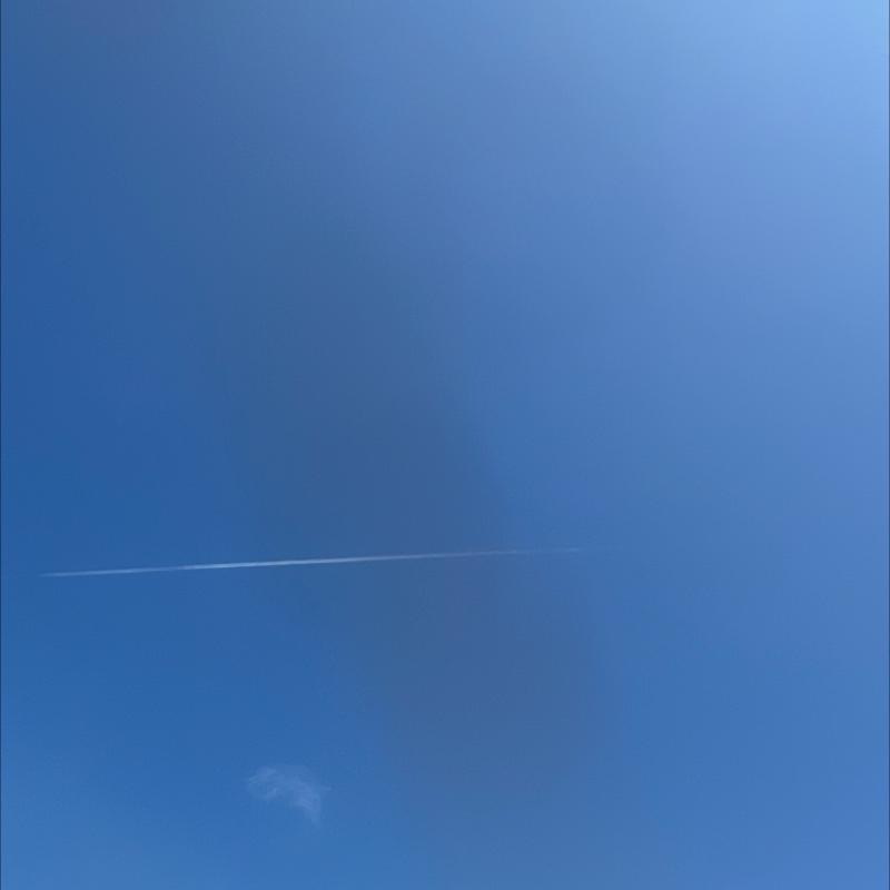 朝のルーティン