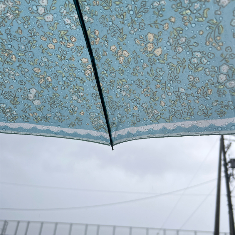朝のルーティン