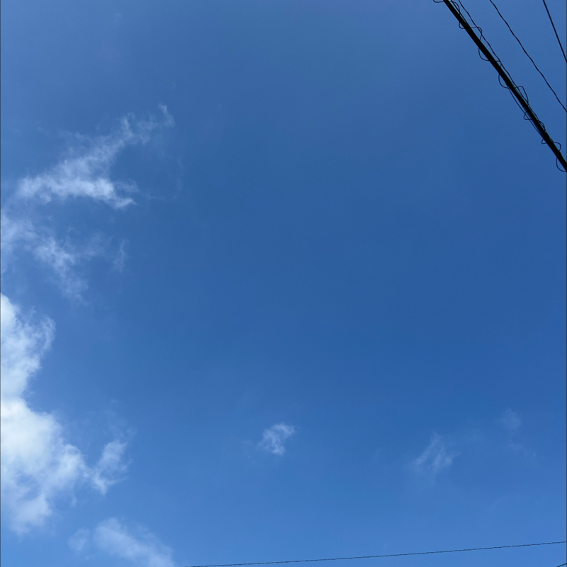 朝のルーティン