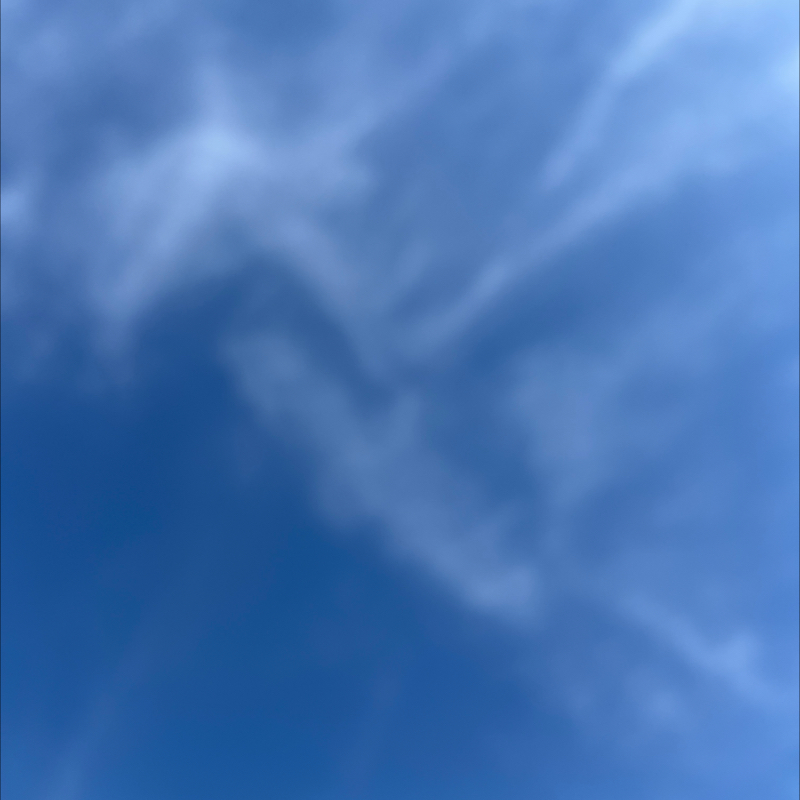 朝のルーティン