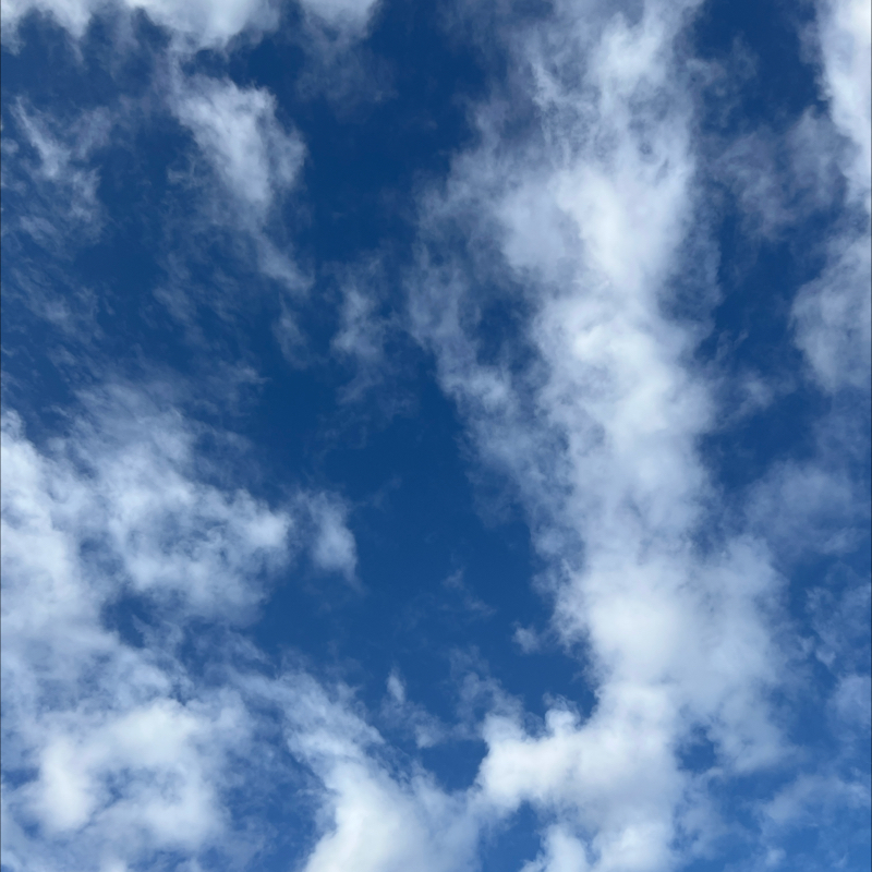 朝のルーティン
