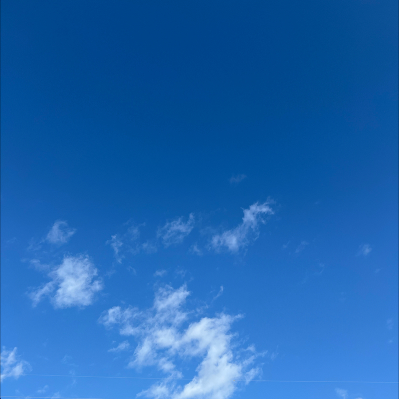 朝のルーティン番外編