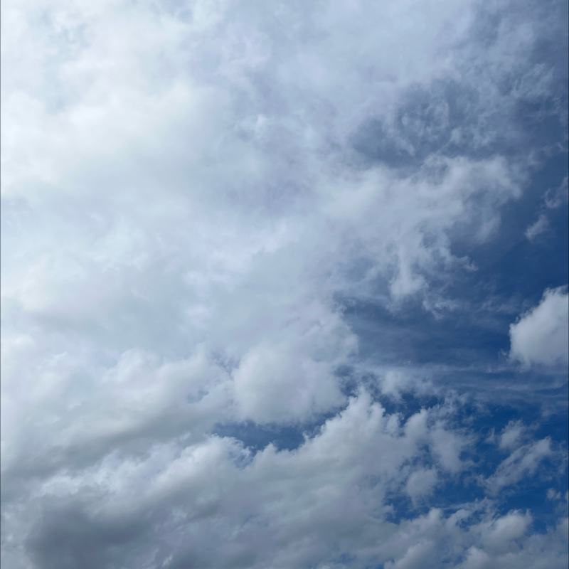 朝のルーティン