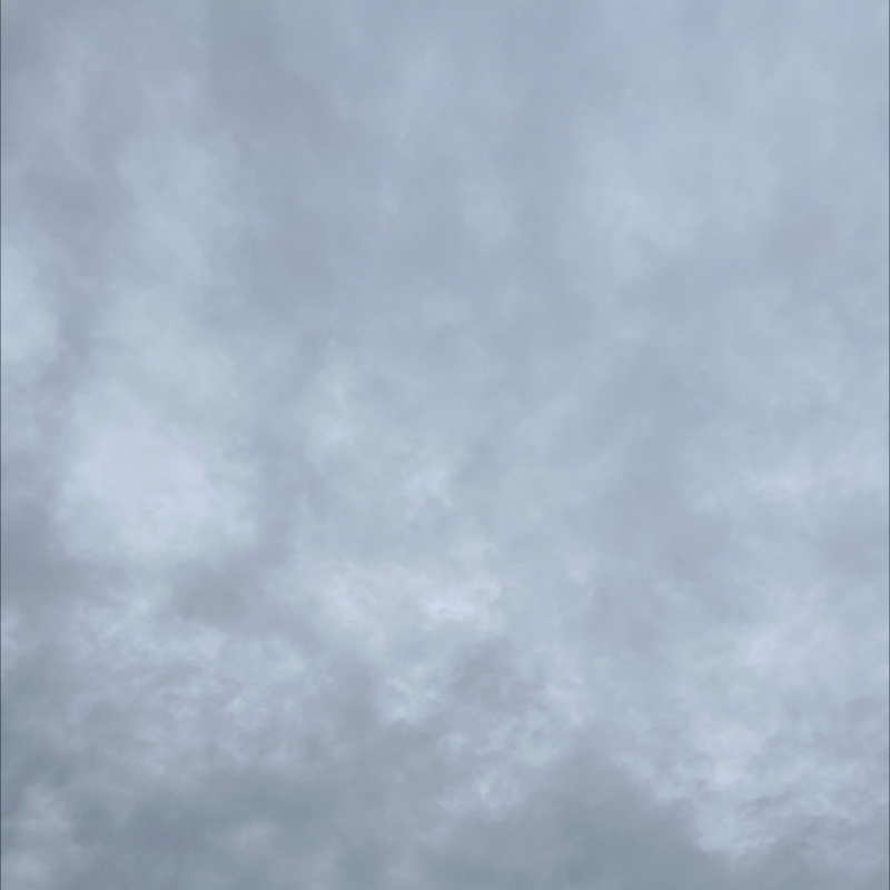 朝のルーティン