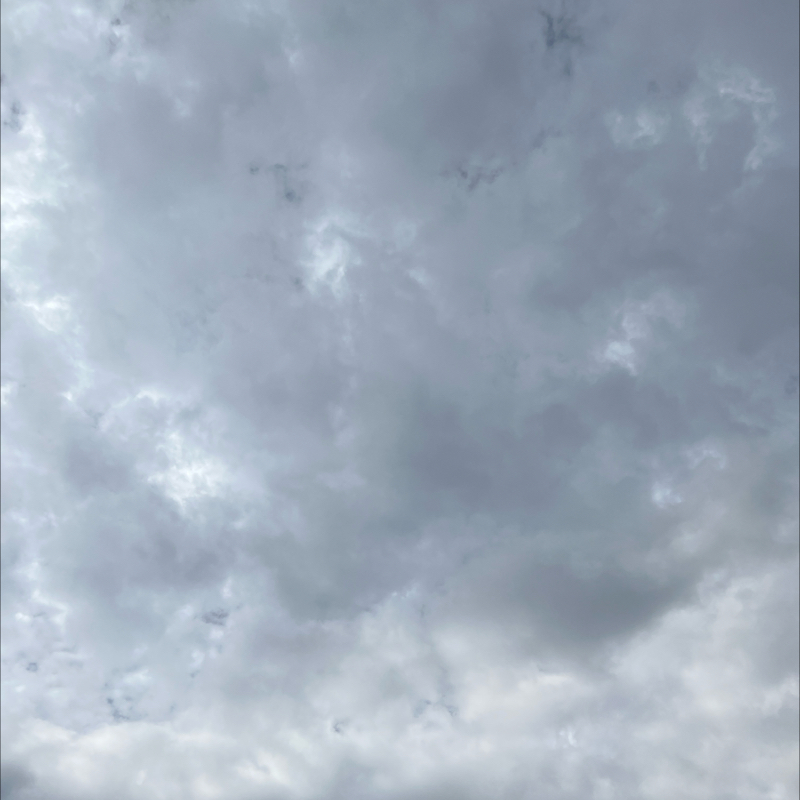 朝のルーティン