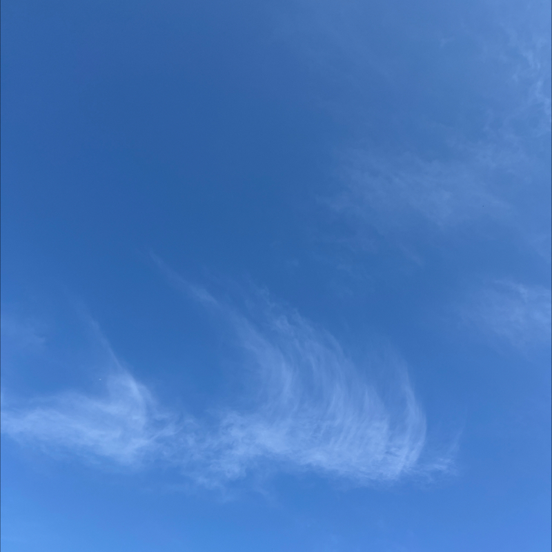 朝のルーティン from Radiotalk 朝のルーティン from Radiotalk