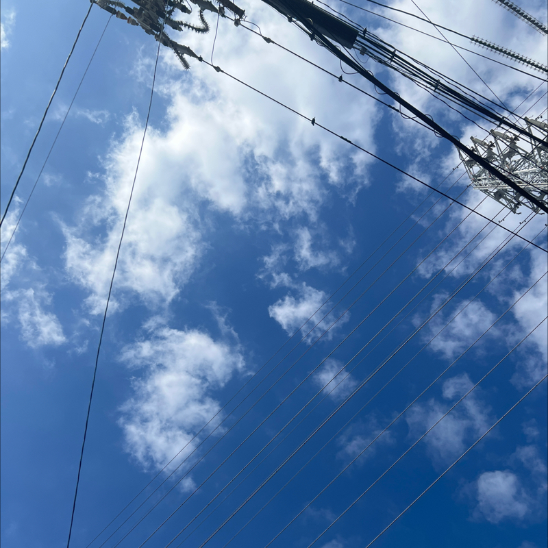 朝のルーティン