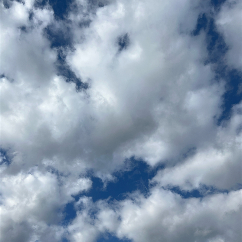 朝のルーティン