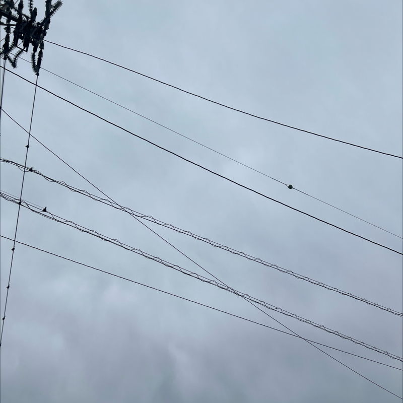 朝のルーティン