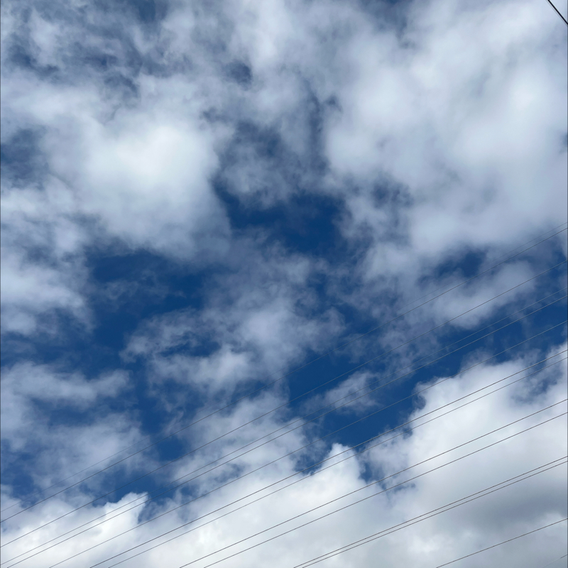 朝のルーティン