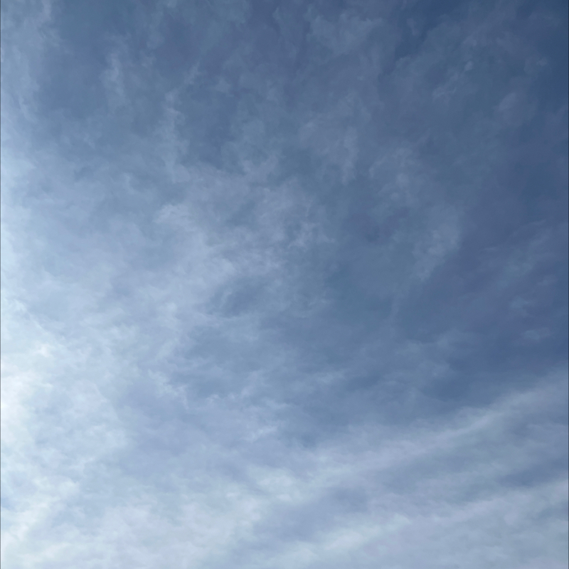 朝のルーティン