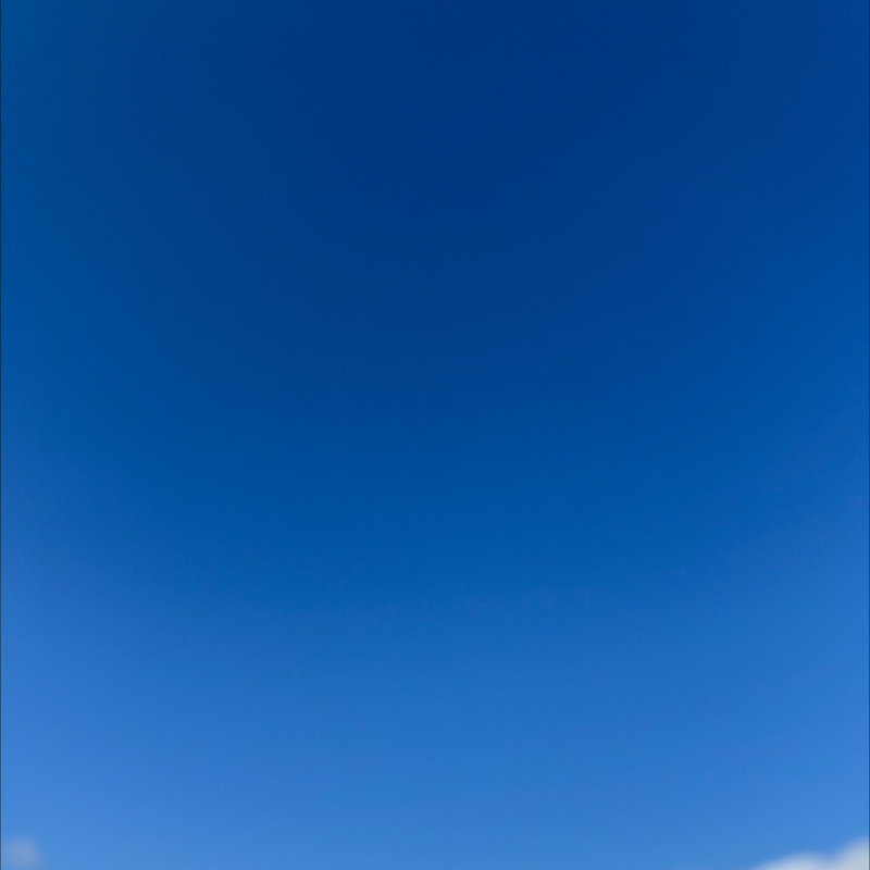 朝のルーティン