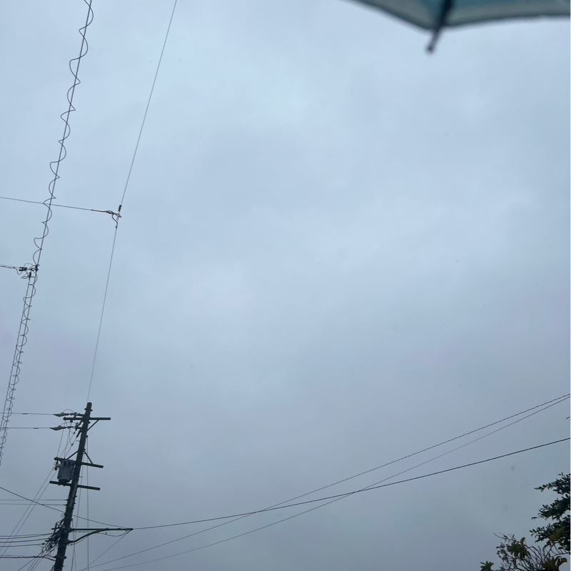 朝のルーティン