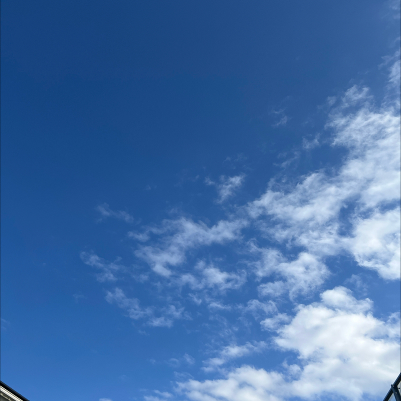 朝のルーティン