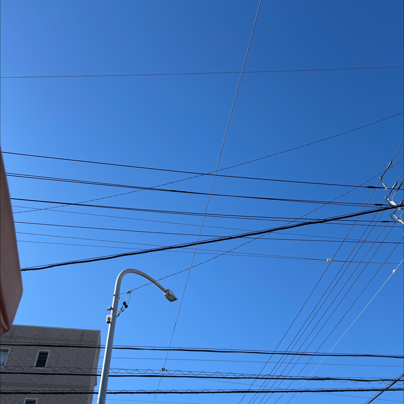 急遽のお出かけ