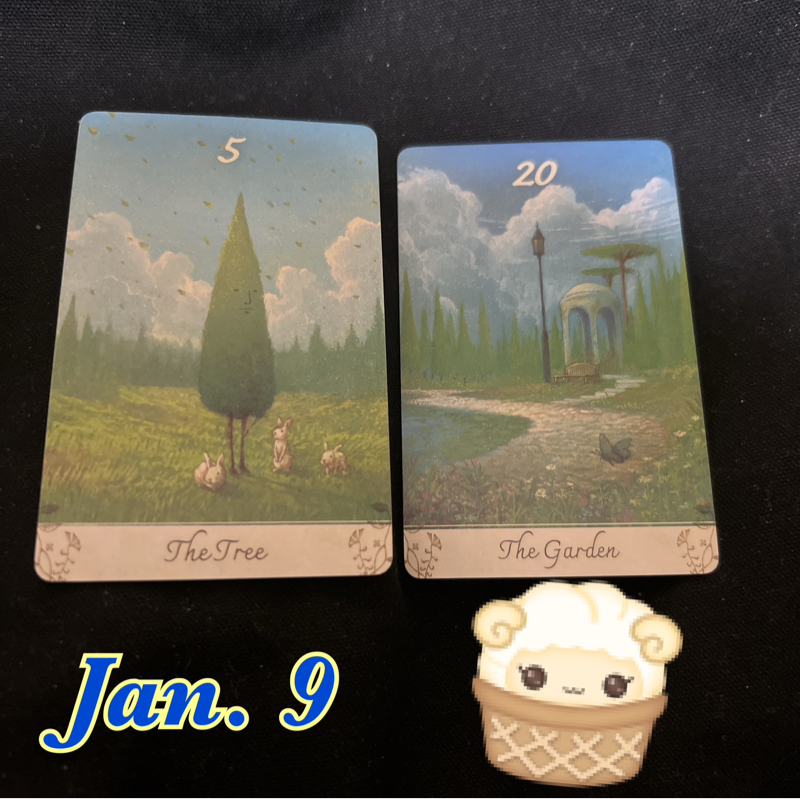 本日のカード　健康の助け合える仲間いるよ