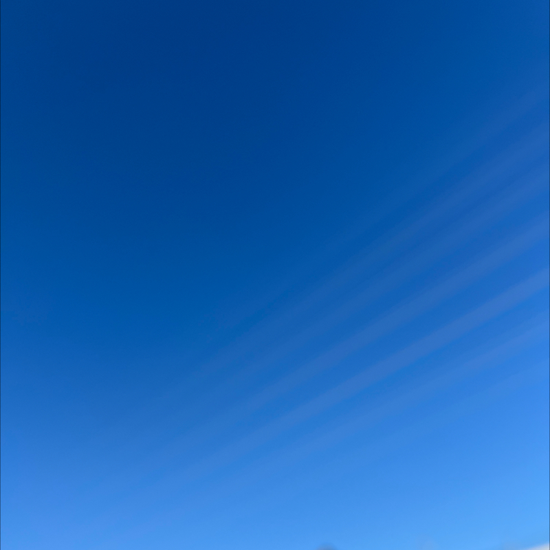 朝のルーティン