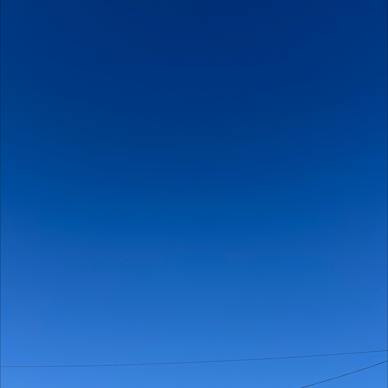 朝のルーティン②