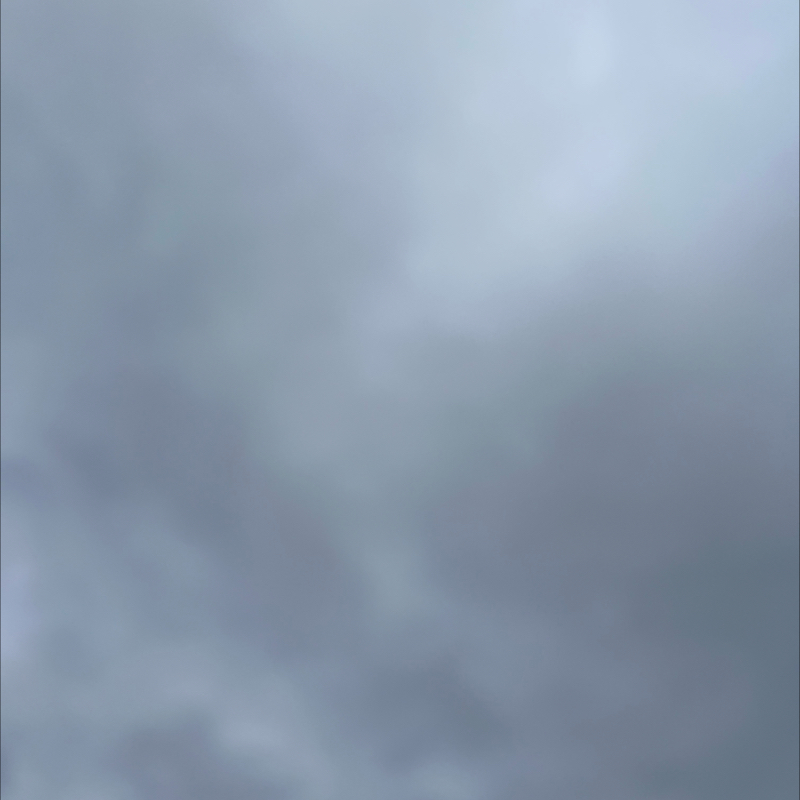 朝のルーティン