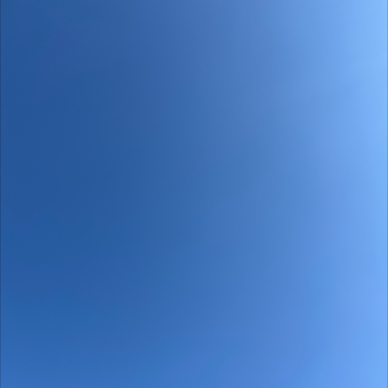 朝のルーティン