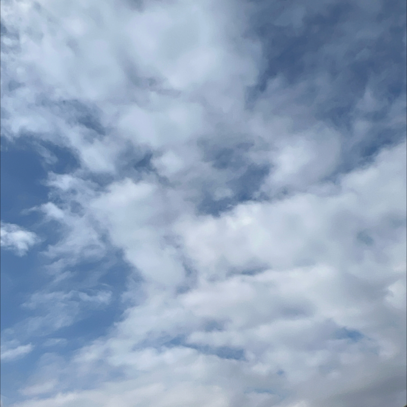 朝のルーティン②