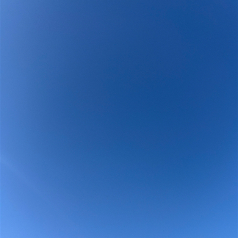 朝のルーティン