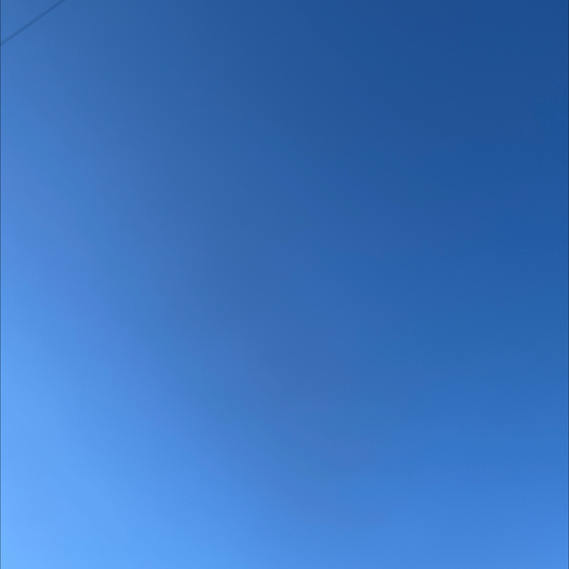 朝のルーティン　番外編