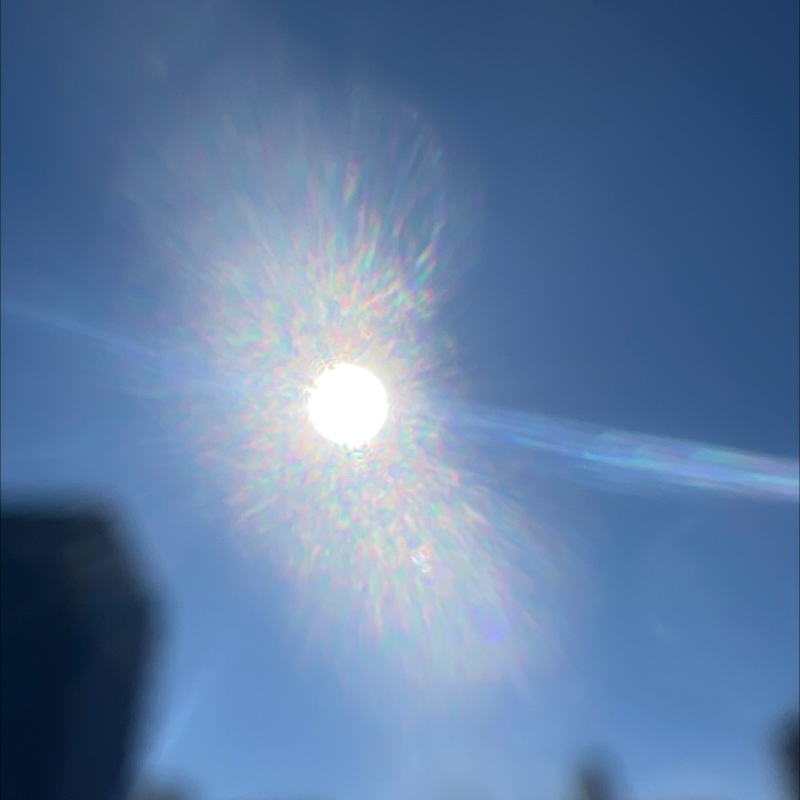 帰宅するけどね