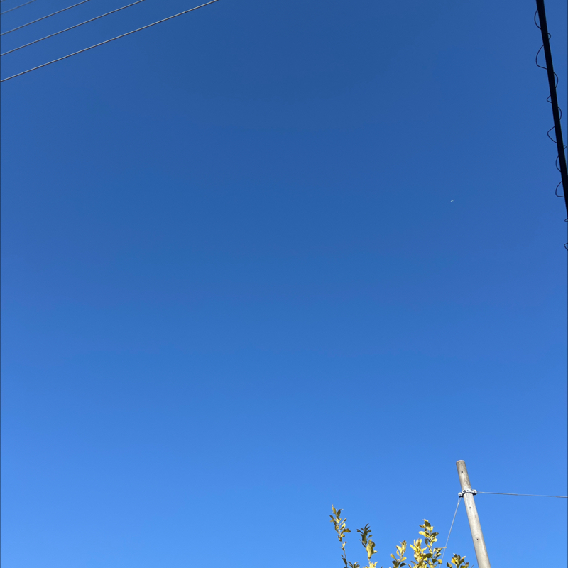 朝のルーティン