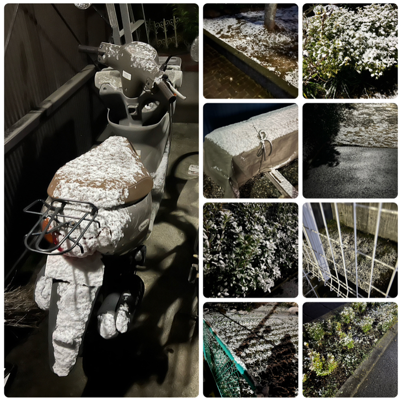 雪が降ってた☃