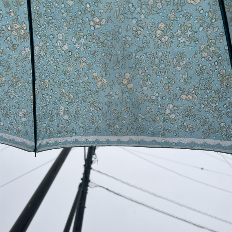 朝のルーティン