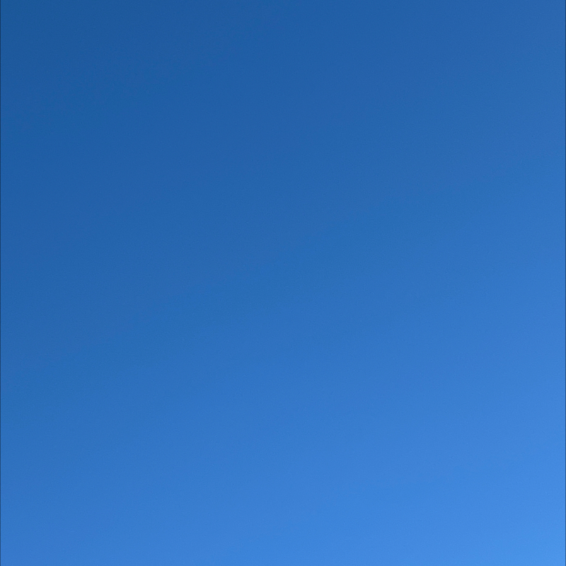 朝のルーティン番外編