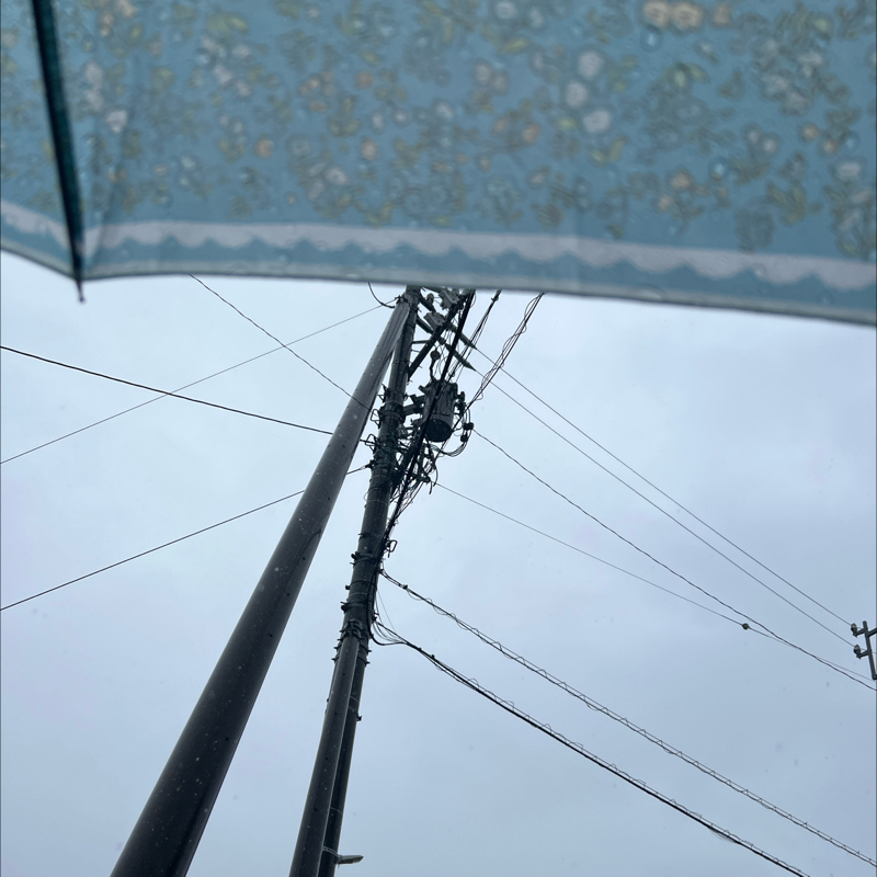 朝のルーティン