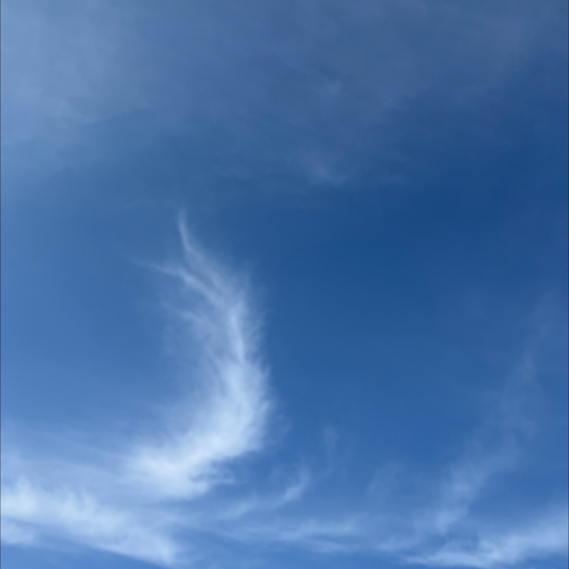 朝のルーティン