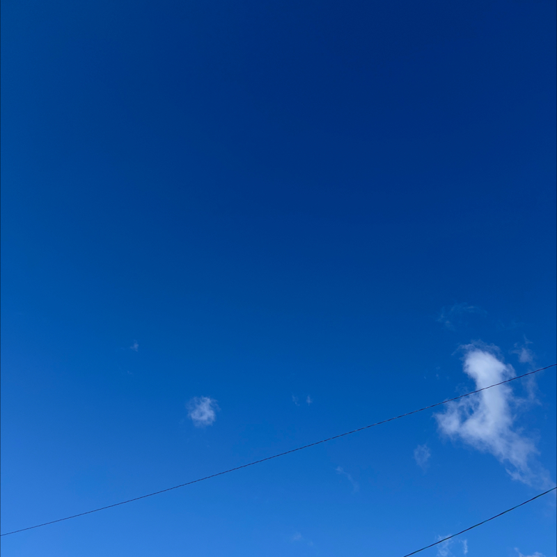 朝のルーティン