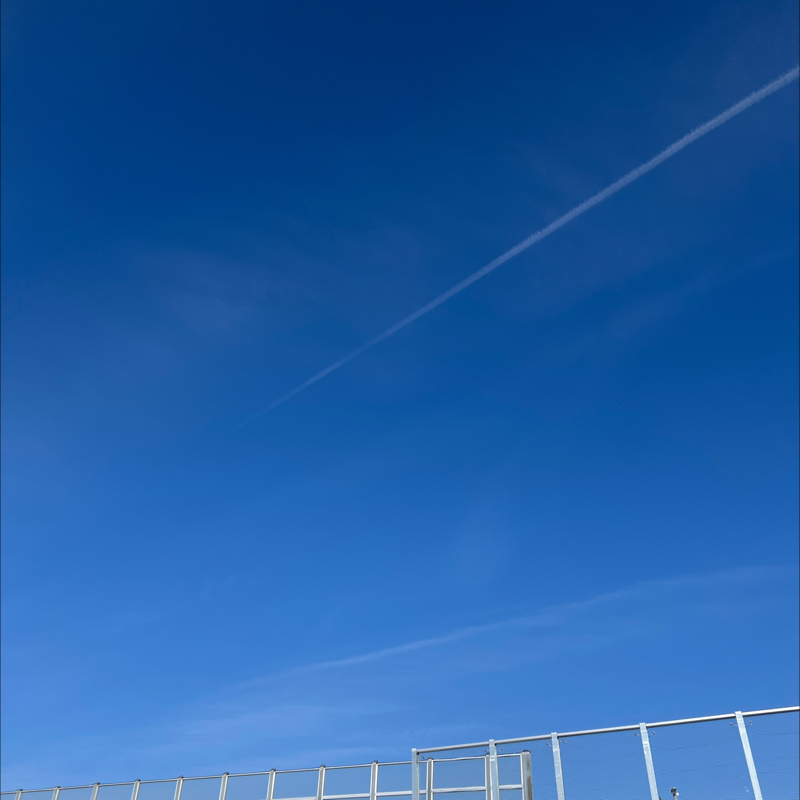 朝のルーティン