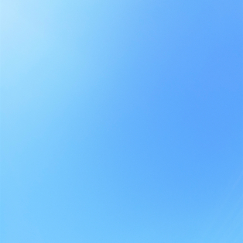 朝のルーティン