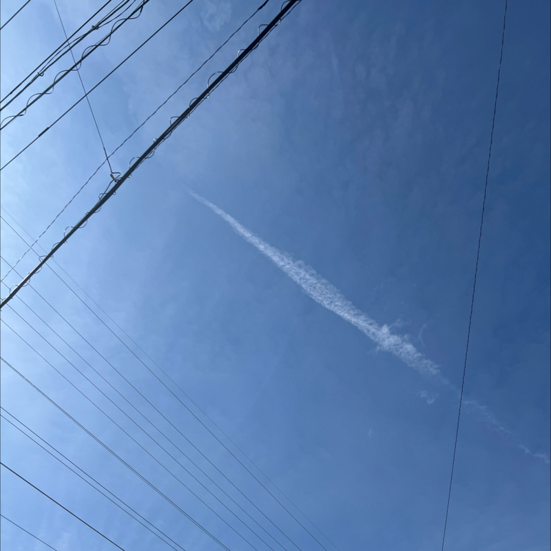 朝のルーティン